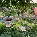 Bei Uns Im Allgaeu - Fuer Erholung Und Aktivitaet Apartmán *