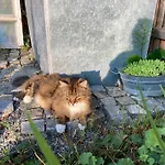 Bei Uns Im Allgaeu - Fuer Erholung Und Aktivitaet Apartmán