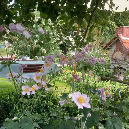 Bei uns im Allgäu - Ferienwohnungen zum Wohlfühlen Apartamento *