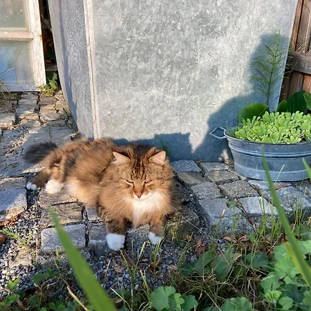 Bei uns im Allgäu - Ferienwohnungen zum Wohlfühlen Apartamento