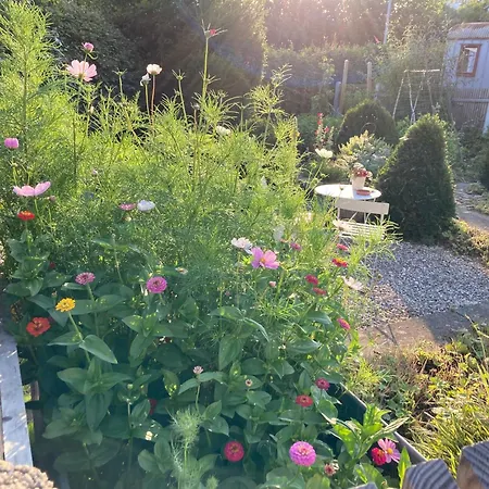 Bei uns im Allgäu - Ferienwohnungen zum Wohlfühlen