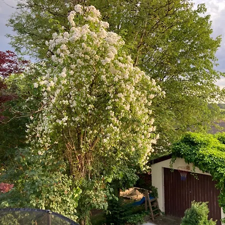Bei uns im Allgäu - Ferienwohnungen zum Wohlfühlen Bad Wurzach
