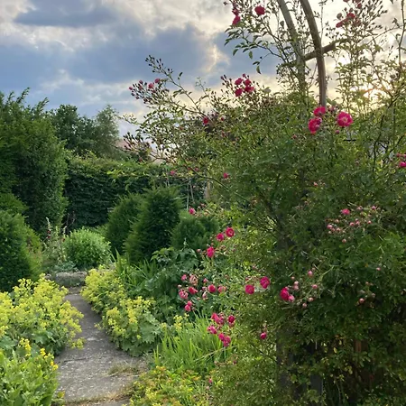 Bei Uns Im Allgaeu - Zum Wohlfuehlen Apartament