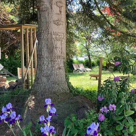 Bei uns im Allgäu - Ferienwohnungen zum Wohlfühlen Apartamento *